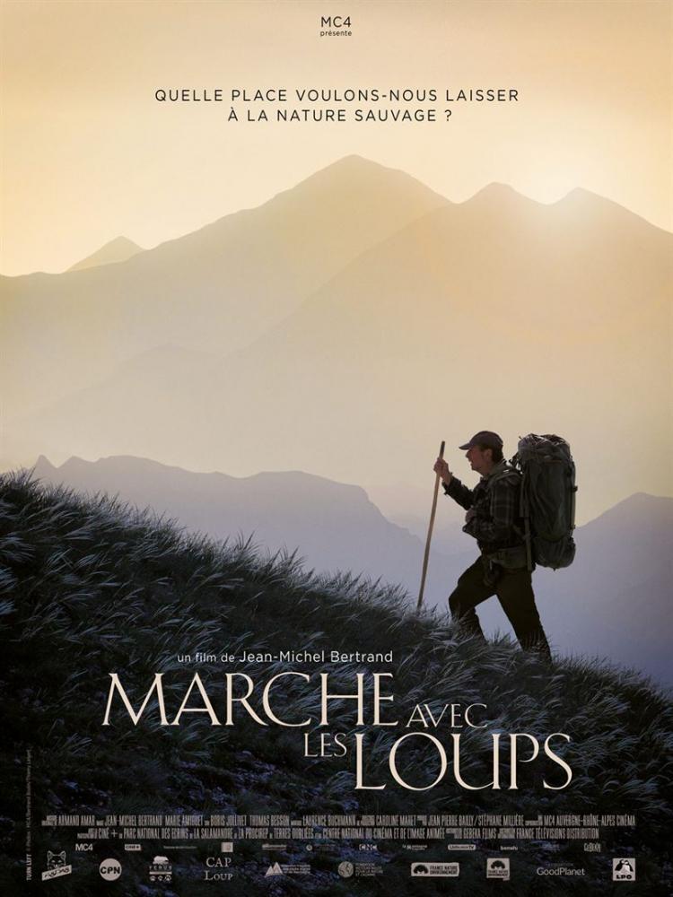 Séance-discussion / Marche avec les loups