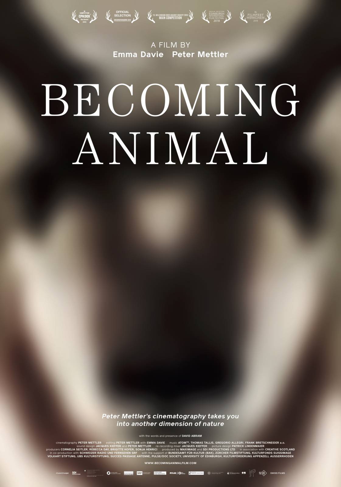 Becoming animal