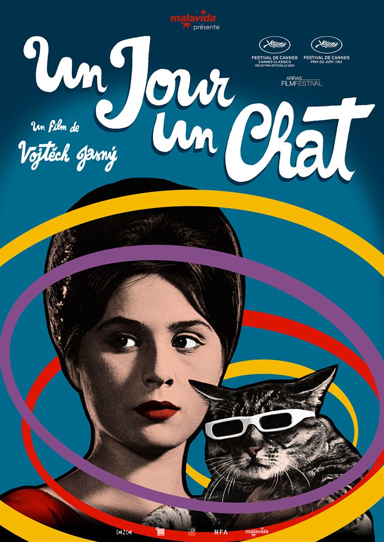 Un jour un chat