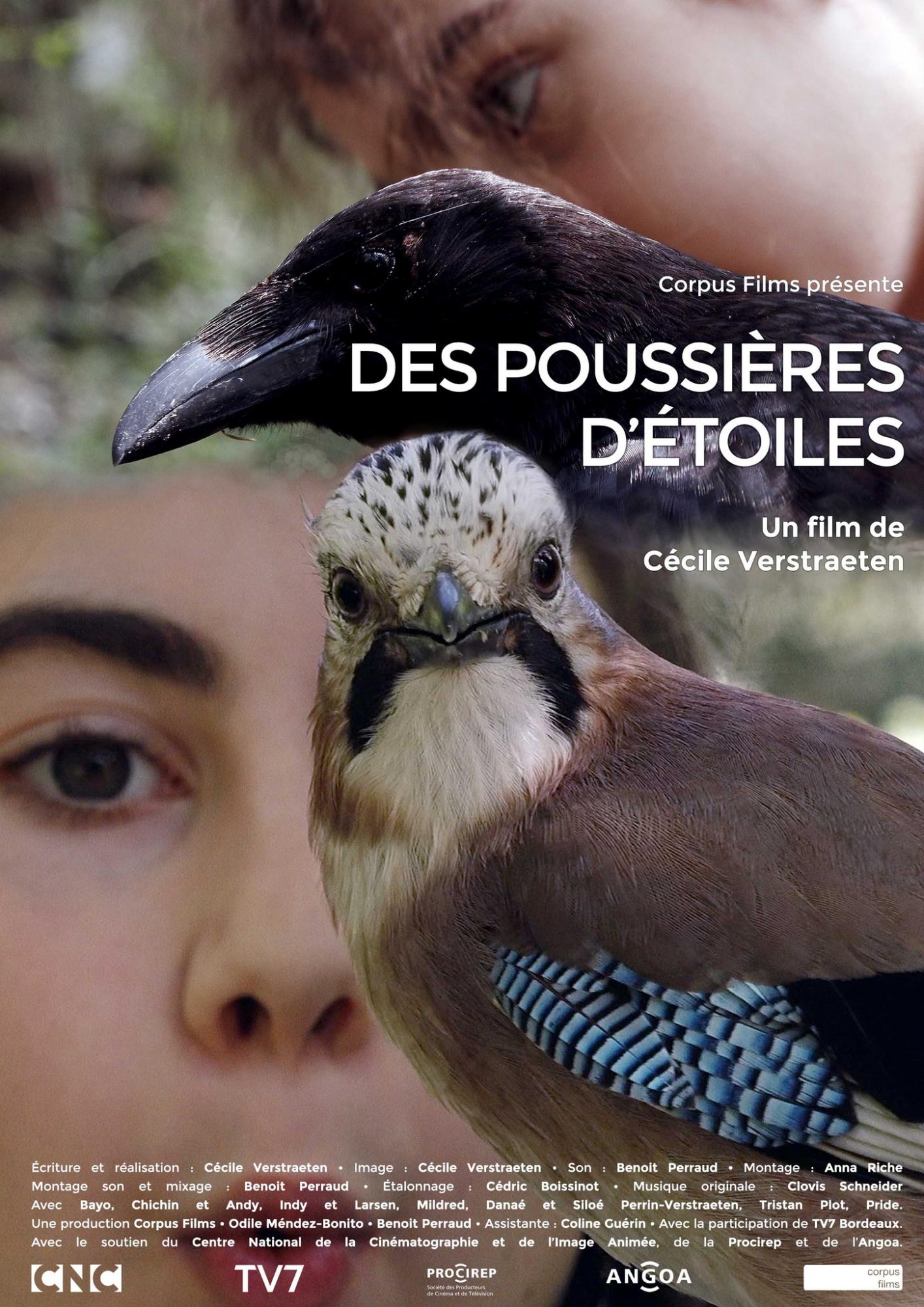 Des poussières d'étoiles