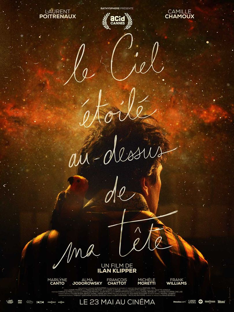 Le ciel étoilé au dessus de ma tête