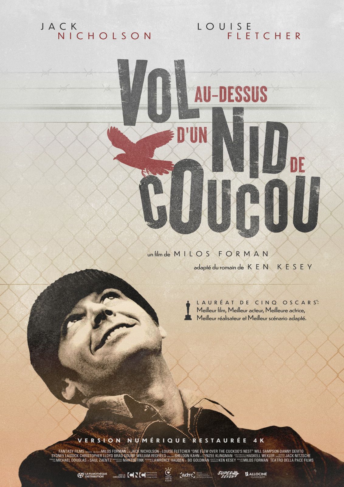 Vol au dessus d'un nid de coucou